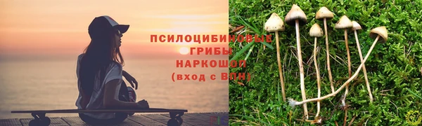 спиды Рославль